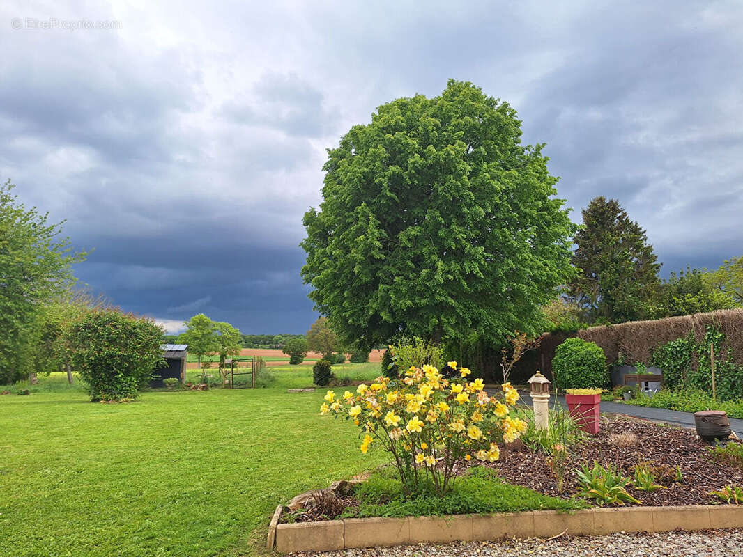 Propriete sur 2828m² a vendre peripherie d'arconnay - photo 7
