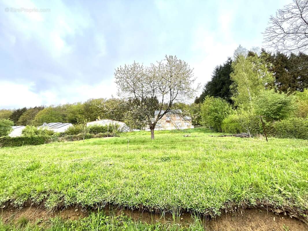 Terrain 750 m² à Bogny-Sur-Meuse  - photo 11