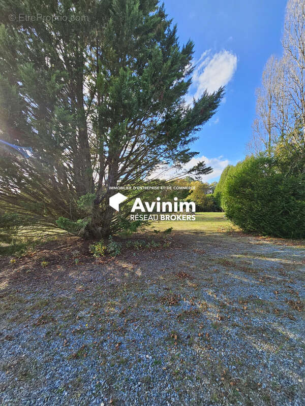 Commerce à LES BRULAIS