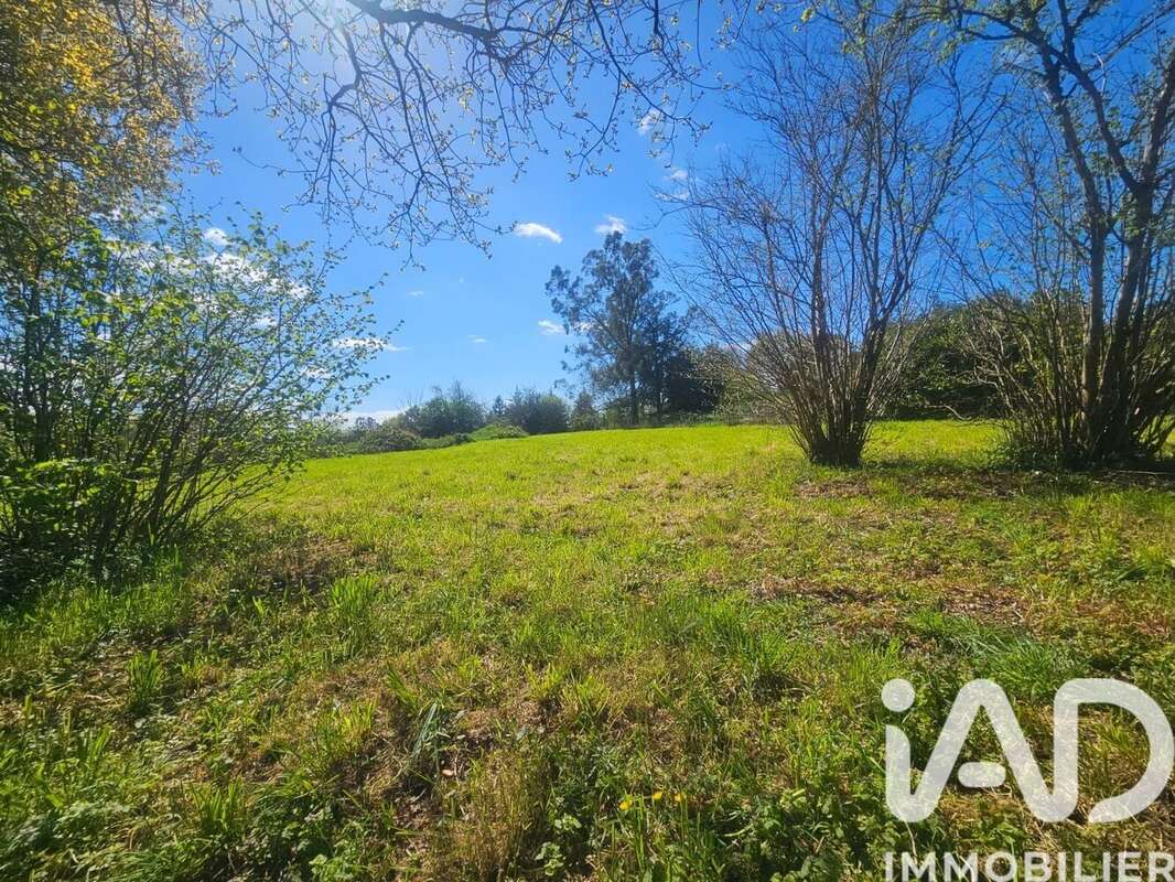 Photo 4 - Terrain à MISSILLAC