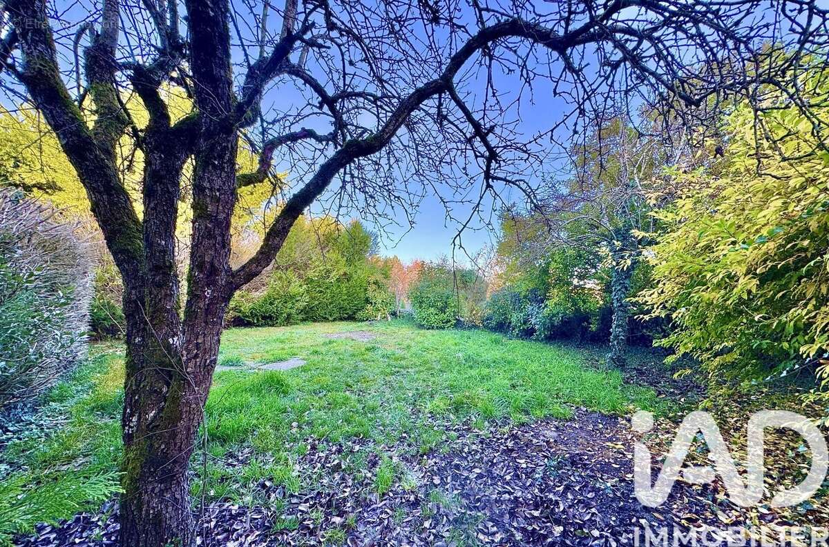 Photo 4 - Maison à NITRY