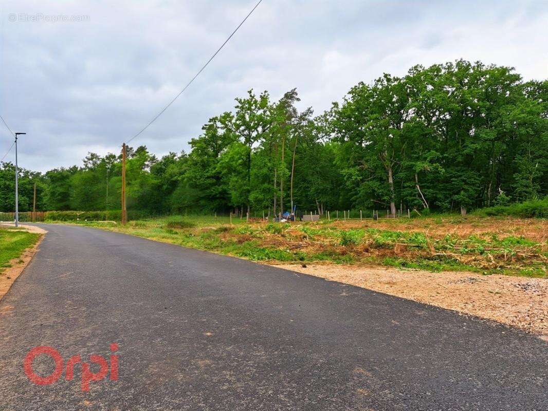 Terrain à SELLES-SUR-CHER