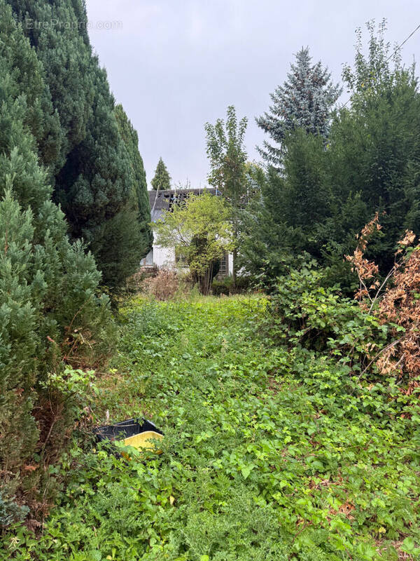 Maison à WARLOY-BAILLON