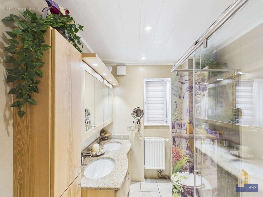 salle d'eau au rdc - Maison à COLMAR