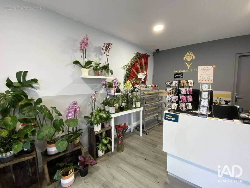 Photo 2 - Commerce à MONT-DE-MARSAN