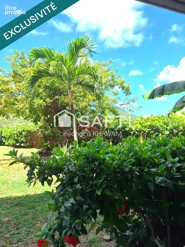 Photo 1 - Appartement à SAINT-MARTIN