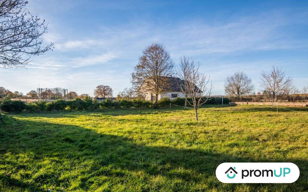 Terrain à MURET-LE-CHATEAU