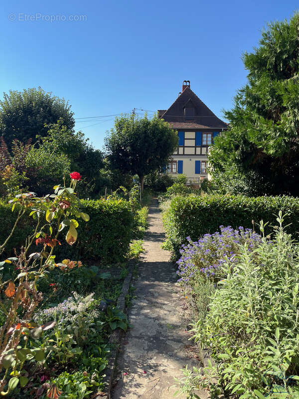 EXCLUSIF ! Immeuble investisseur composé de 3 appartements loués. - photo 4