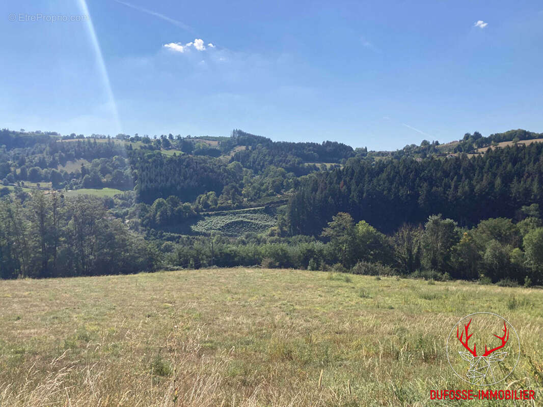 TAB - Beau terrain constructible avec vue dégagée - COURS (69470) - photo 2
