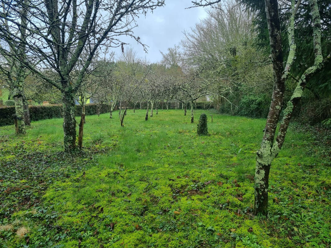 Terrain à SAINT-BENOIT