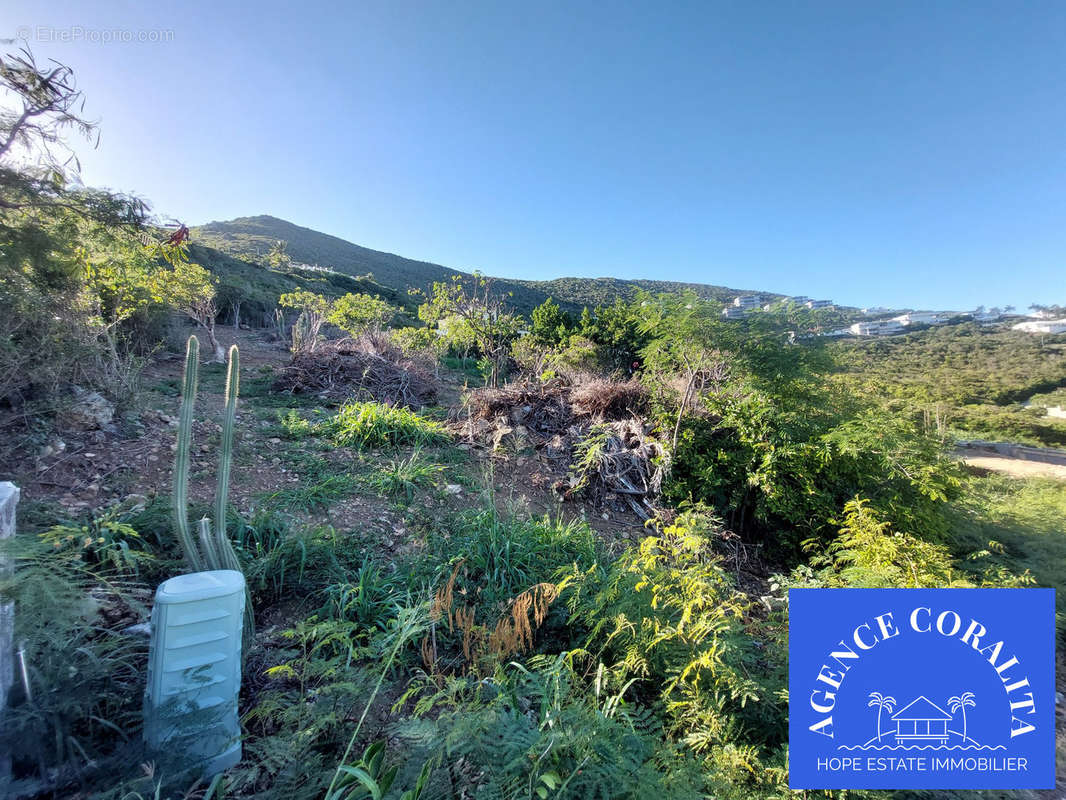 vue de face - Terrain à SAINT-MARTIN