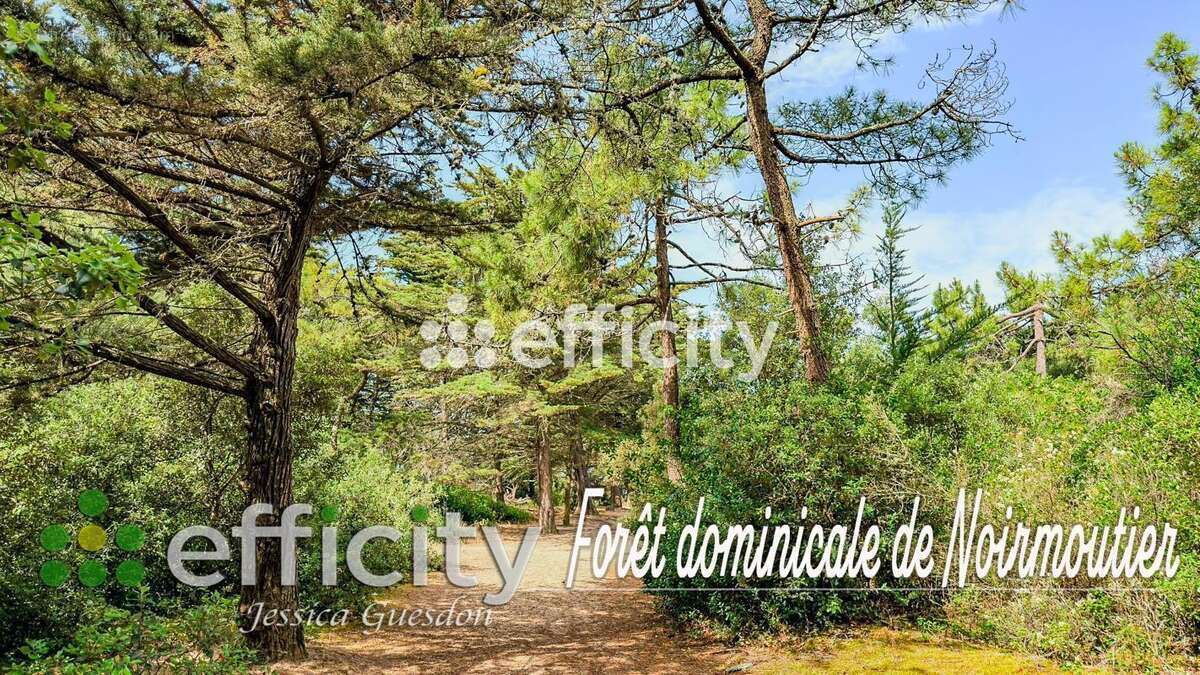 Terrain 305 m² à Barbatre  - photo 4