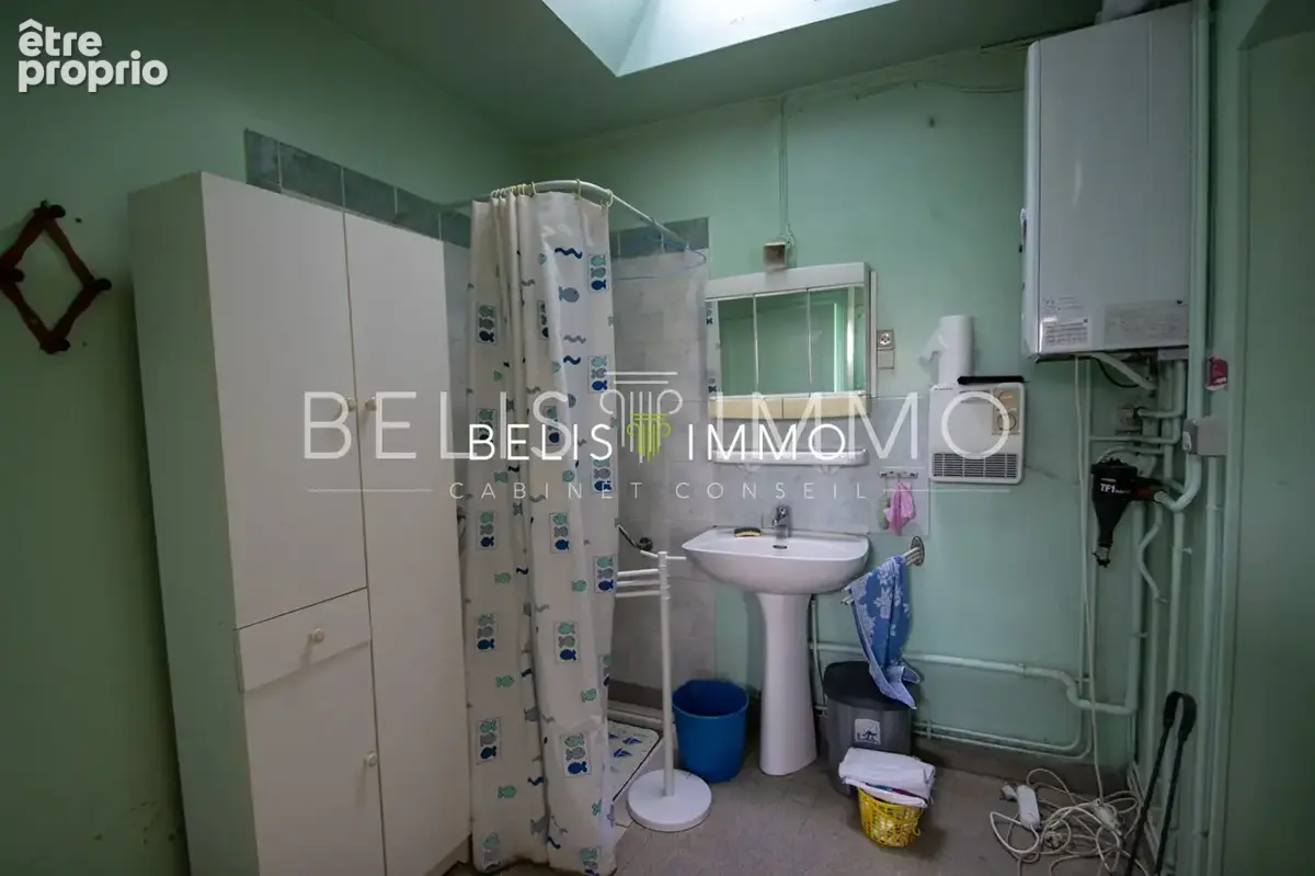 Maison 8 pièces 272 m² à vendre à Saint-Martin-Le-Beau (37270) - photo 8