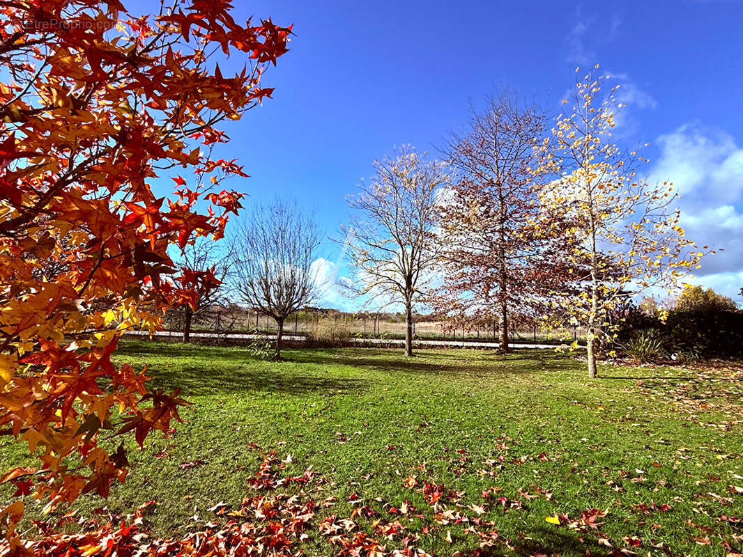 Terrain à SAINT-DENIS-EN-VAL
