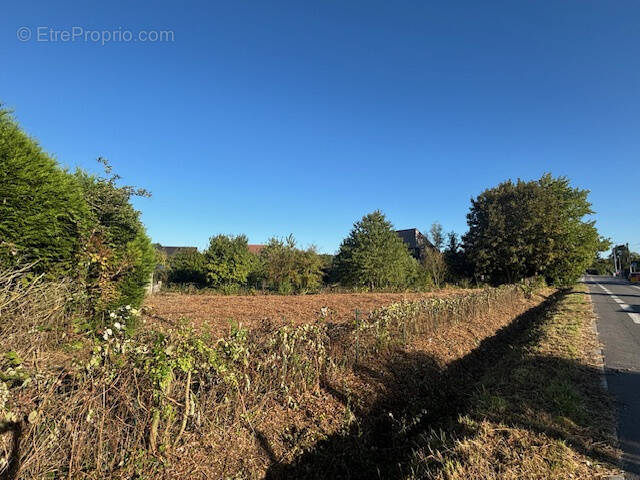 Terrain à SAMEON