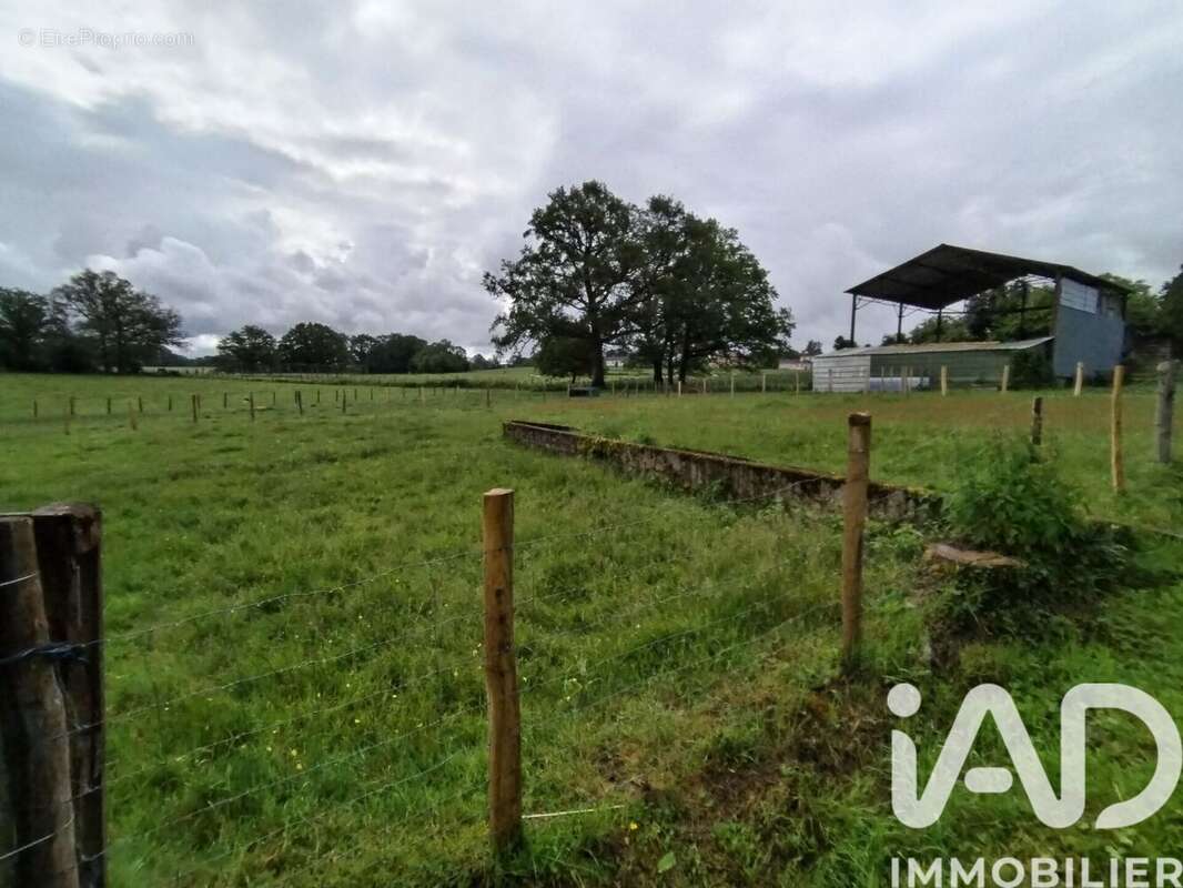 Photo 2 - Terrain à SEREILHAC