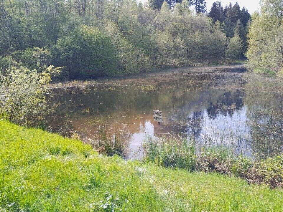 Terrain à FAUCOGNEY-ET-LA-MER