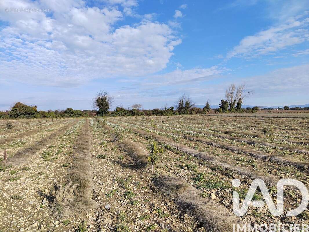 Photo 1 - Terrain à SAINTE-CECILE-LES-VIGNES