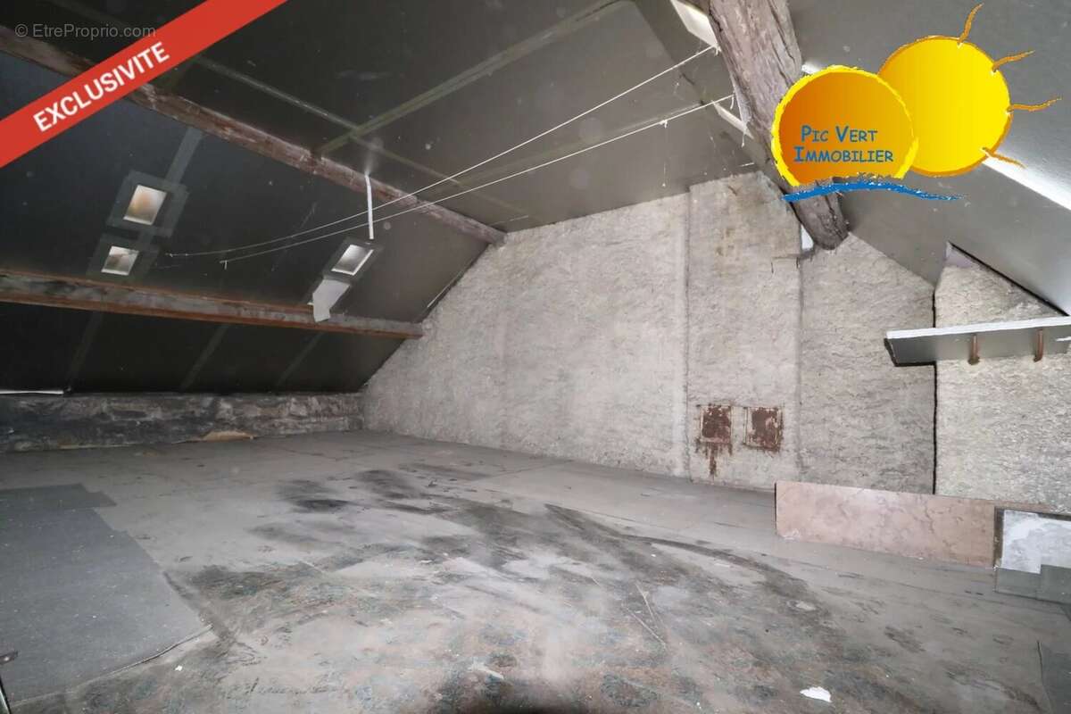Immeuble avec commerce et 3 appartements, greniers, patio, garage - photo 10