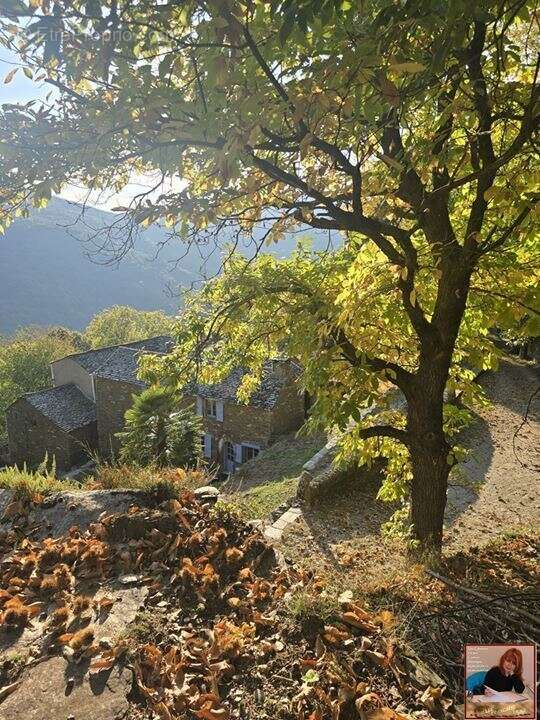 Maison à SAINT-GERMAIN-DE-CALBERTE