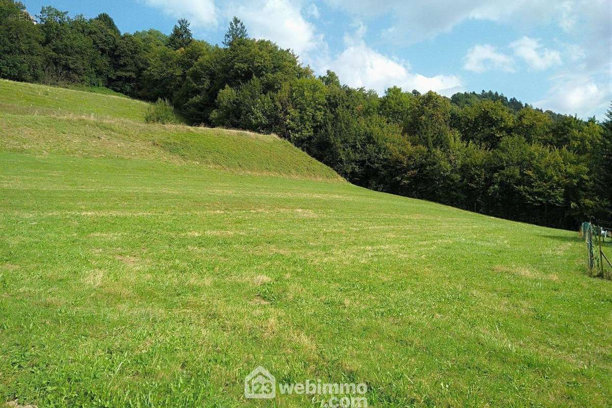 Si vous recherchez la tranquillité pour votre projet, contactez nous !!! - Terrain à MARTHOD