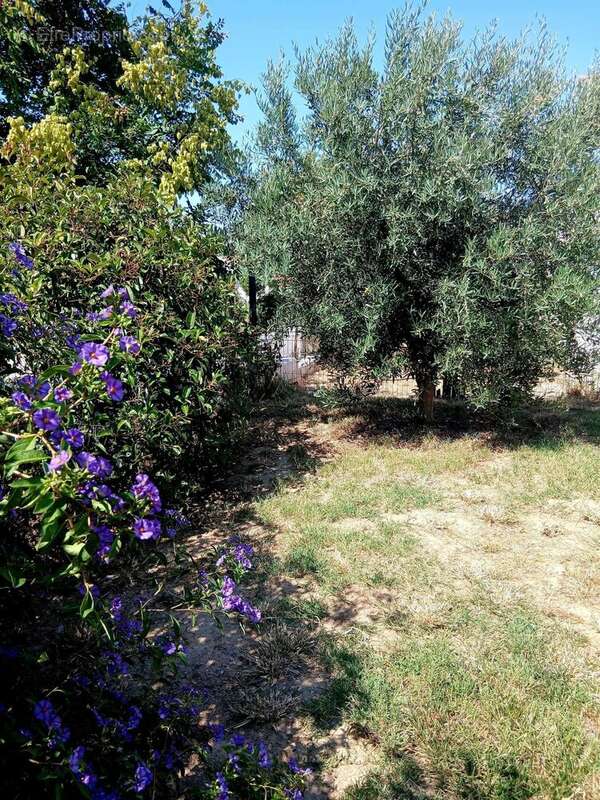 Vente Maison Perpignan(66000) 315 000ï¿œ - photo 8
