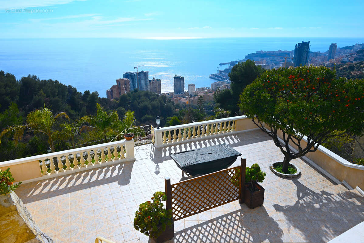 Belle Villa surplombant Monaco - photo 4