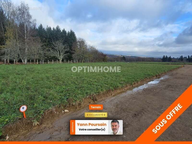 Terrain à LE PALAIS-SUR-VIENNE