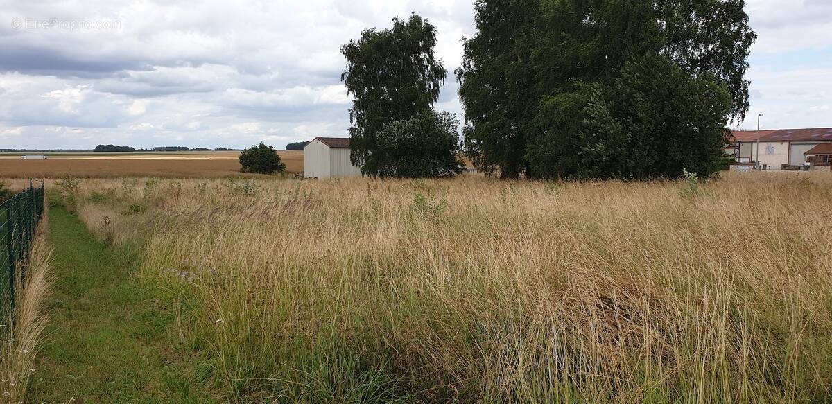 Terrain à VAUCHAMPS