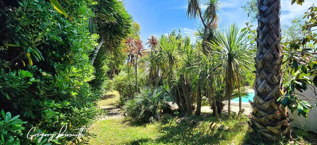 Photo 6 - Maison à HYERES