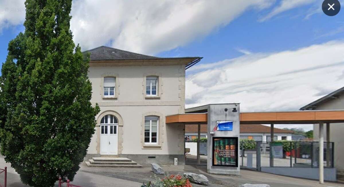 GROUPE SCOLAIRE MATERNELLE PRIMAIRE COLLEGE  - Terrain à CHATEAUNEUF-LA-FORET