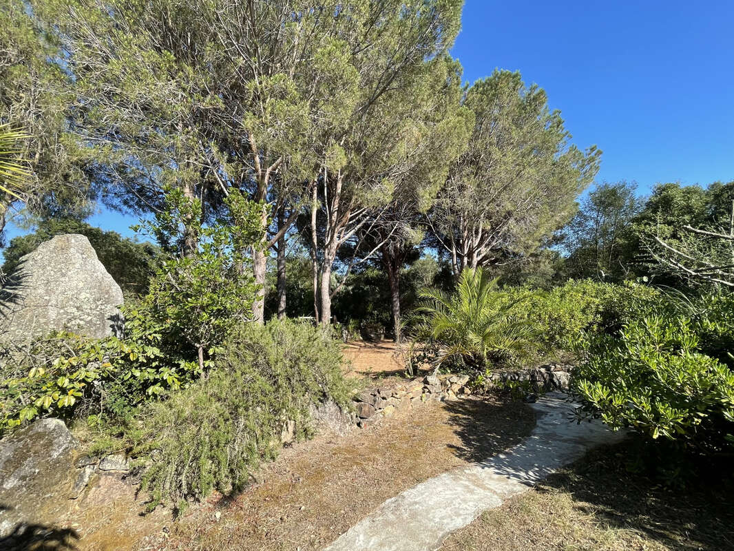Maison à PORTO-VECCHIO
