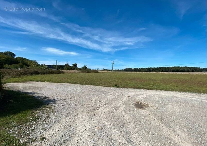 Terrain à LES ESSARTS