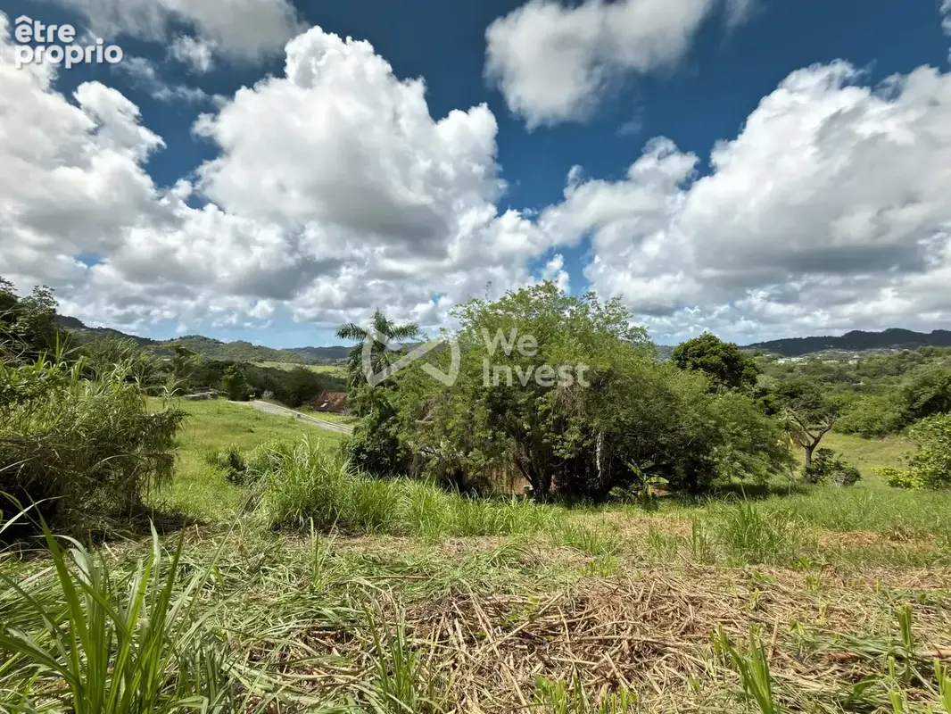 Terrain 973 m² à vendre à Le Vauclin (97280) - photo 1