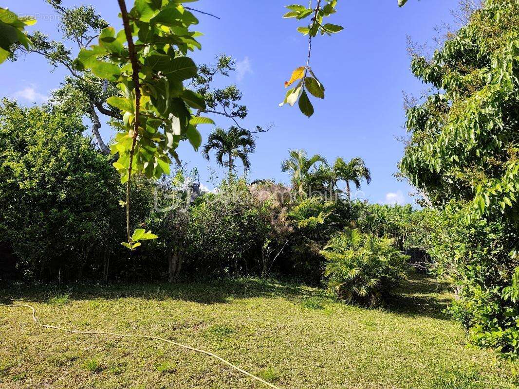 Maison à SAINT-DENIS