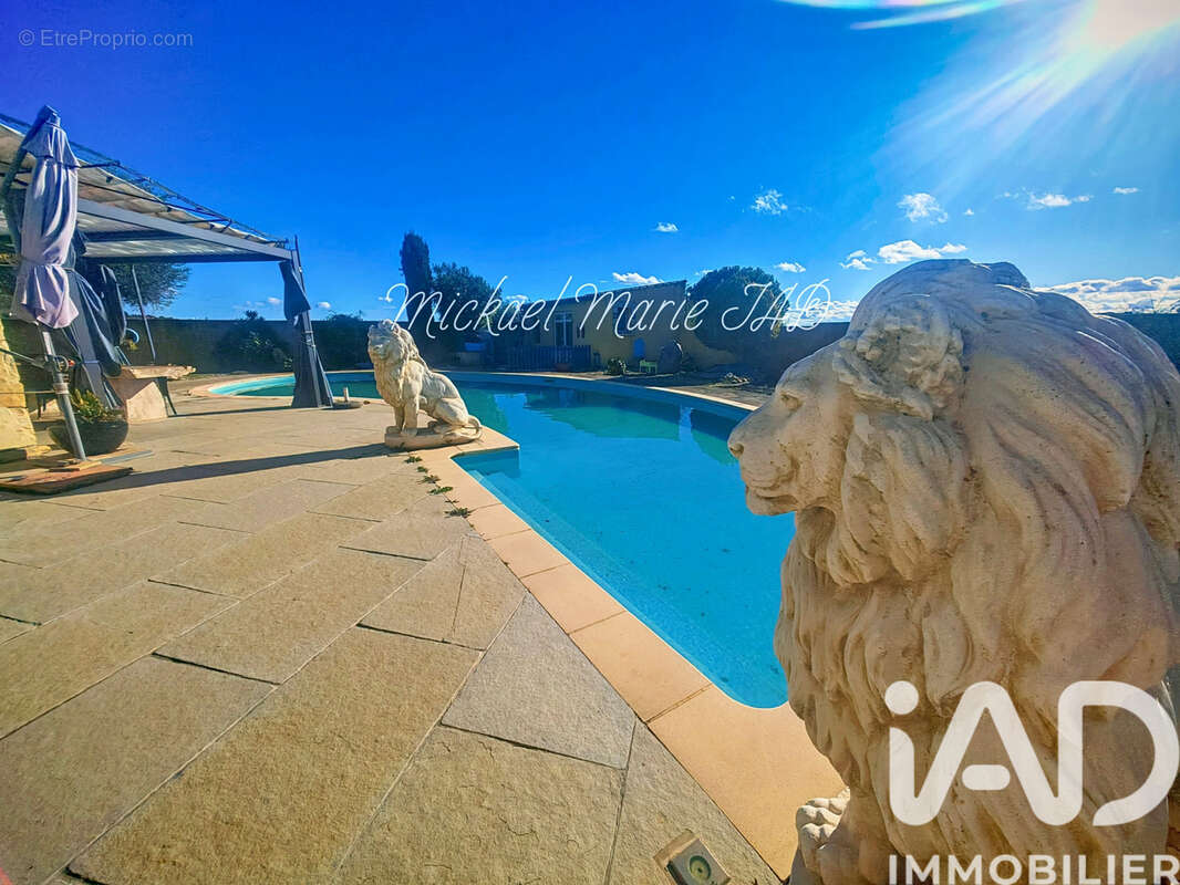 Photo 3 - Maison à MURVIEL-LES-BEZIERS