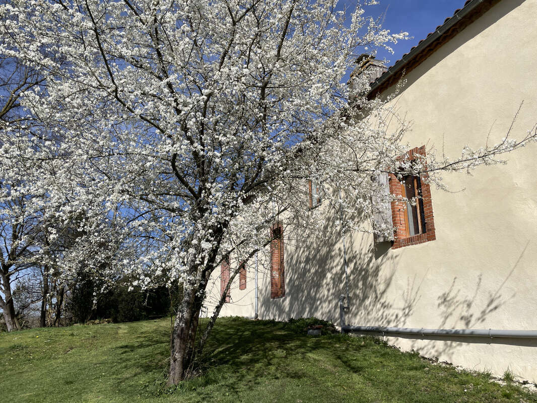 Maison à MARCIAC