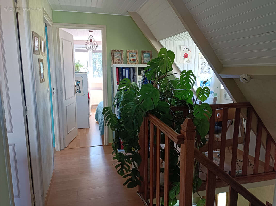 Maison à STEENVOORDE