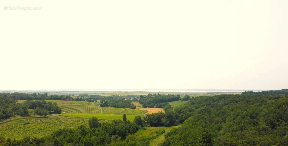Maison à SAINT-GEORGES-DES-AGOUTS