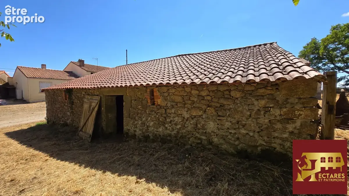 Maison de 180 m2 sur 6.3 hectares - photo 12