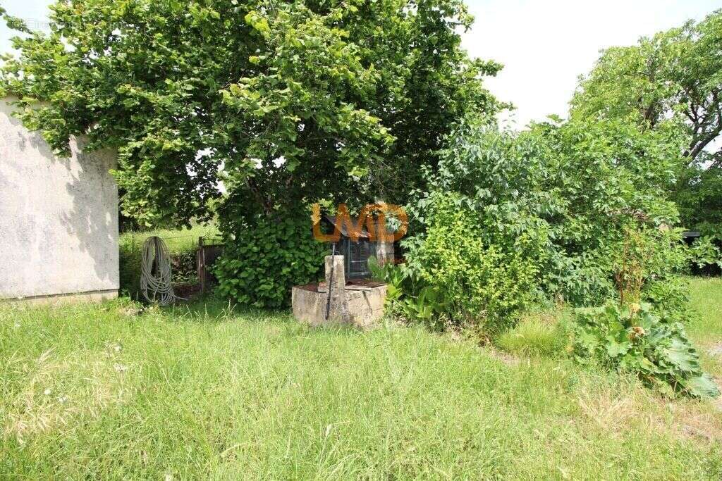 Maison de plain pied Bussac sur Charente - photo 21