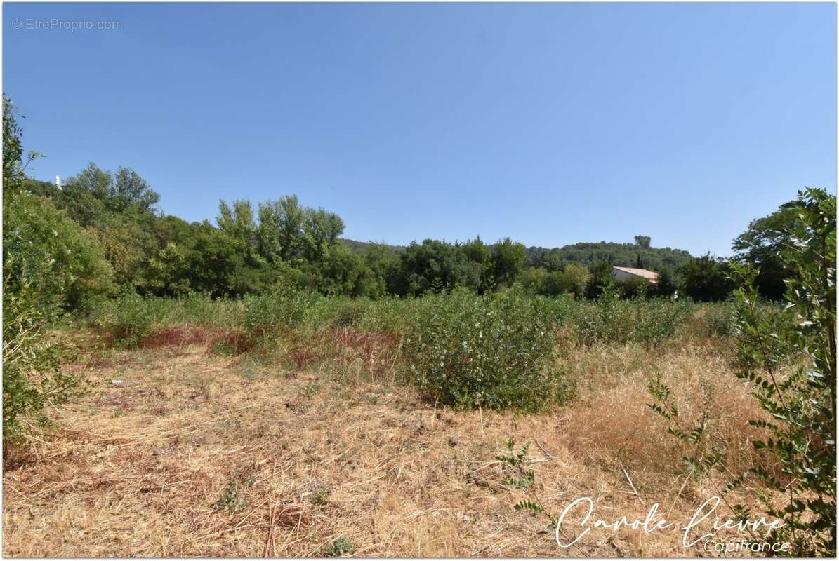 Terrain 2000 m² à vendre CABRIERES (34) - photo 2