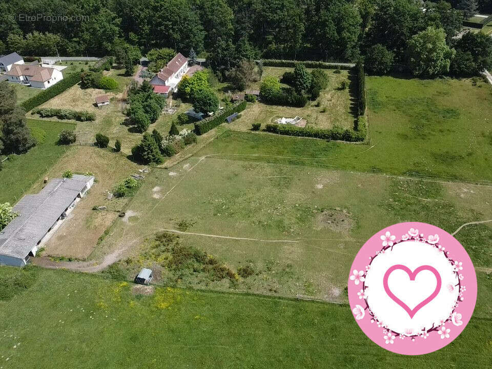 Maison 327 m² à Bray-En-Val  - photo 5