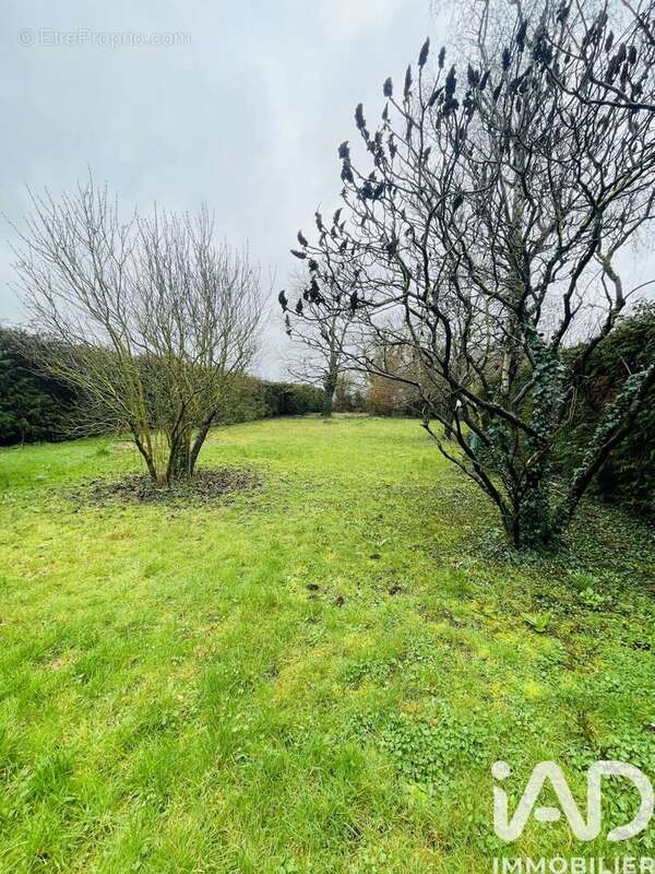 Photo 6 - Maison à BAULE