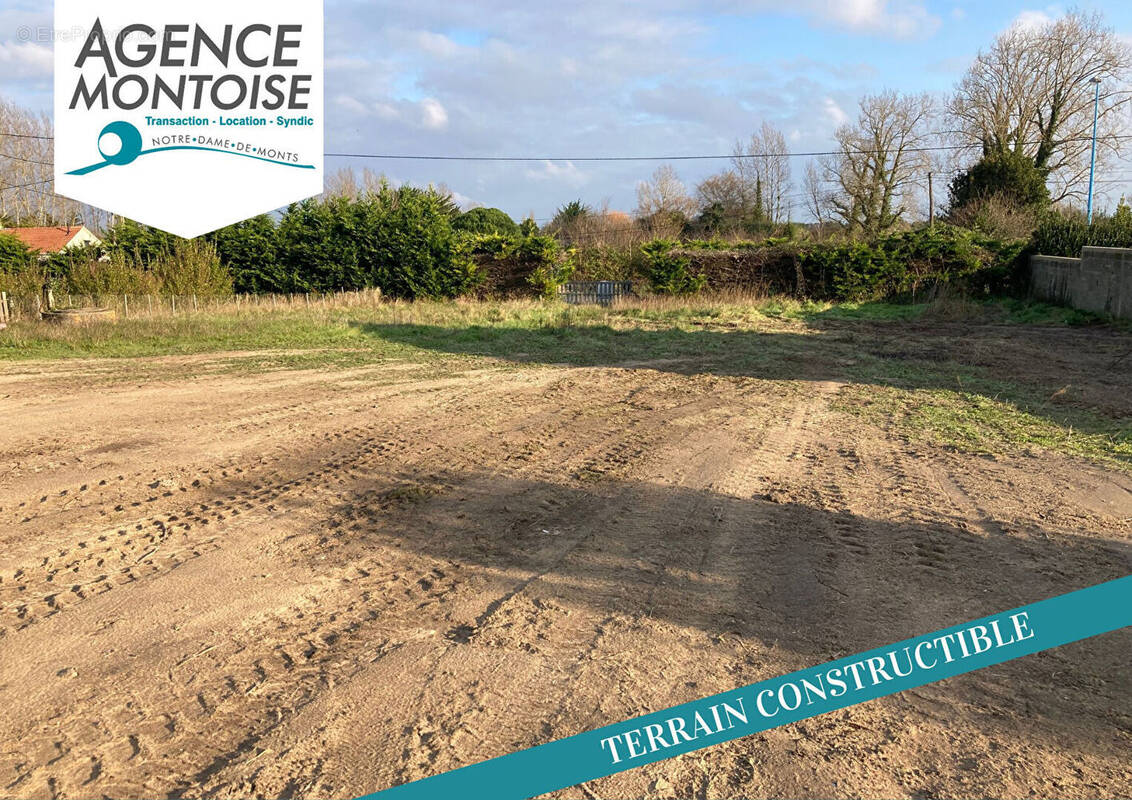 Terrain à SAINT-JEAN-DE-MONTS