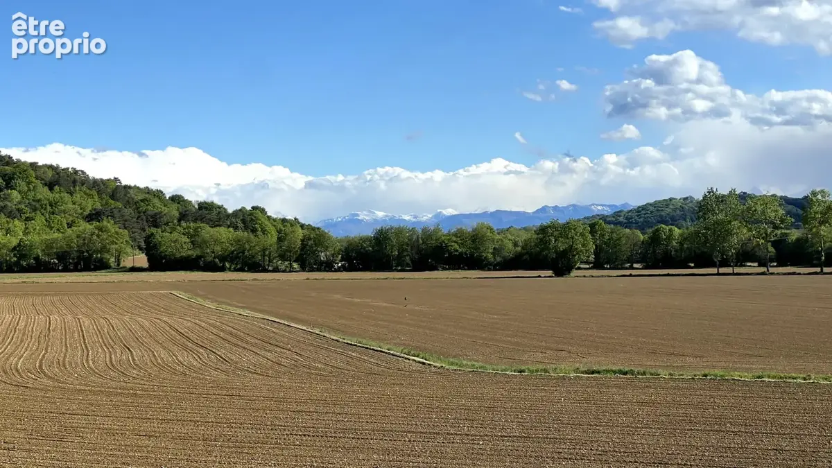 Secteur lembeye - photo 8