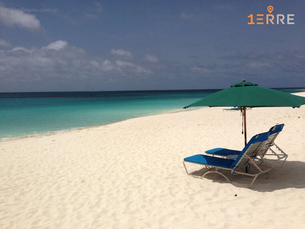 Terrain à SAINT-MARTIN