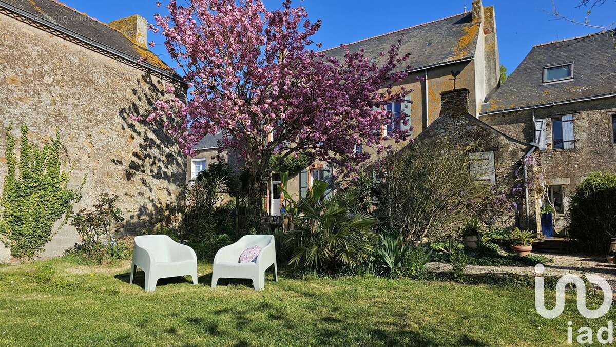 Photo 4 - Maison à LAVAU-SUR-LOIRE