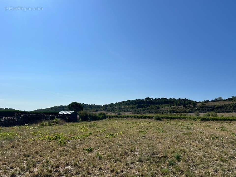 Terrain à FELINES-MINERVOIS
