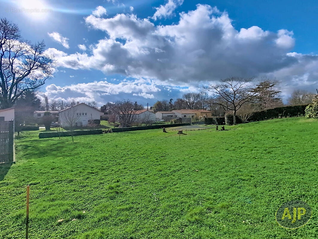 Terrain à VIEILLEVIGNE